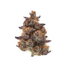 Pink Zkittlez Strain