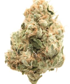 Sour Zkittlez Strain