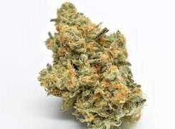 biscotti cake strain