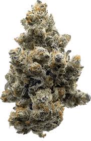 chimera junky strain